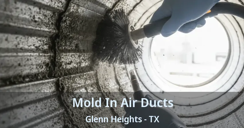 Mold In Air Ducts Glenn Heights - TX