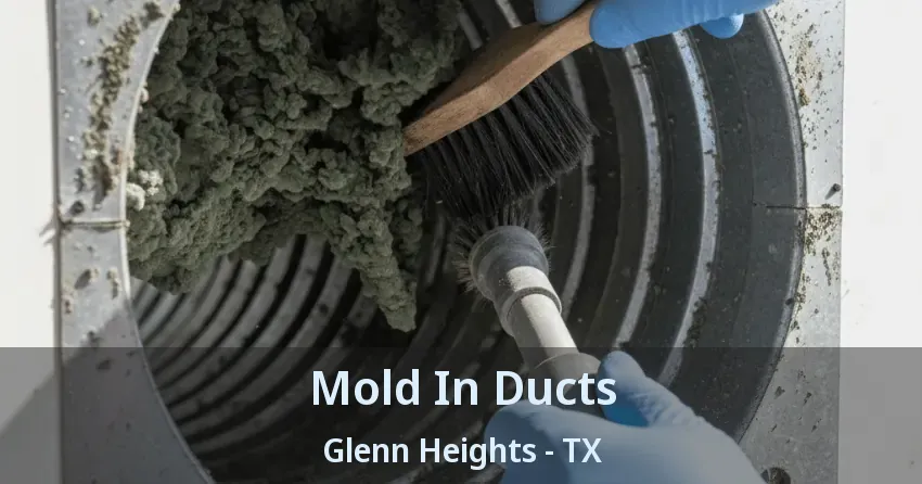 Mold In Ducts Glenn Heights - TX