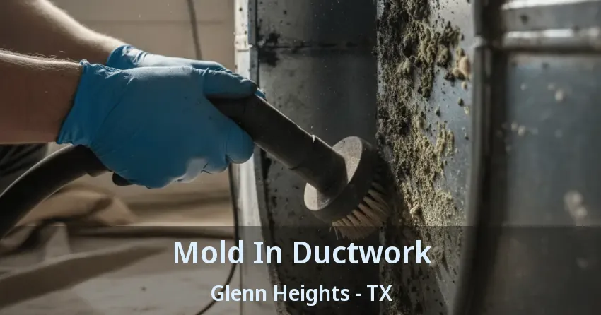 Mold In Ductwork Glenn Heights - TX