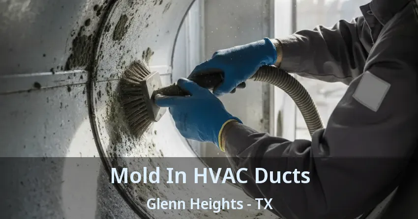 Mold In HVAC Ducts Glenn Heights - TX